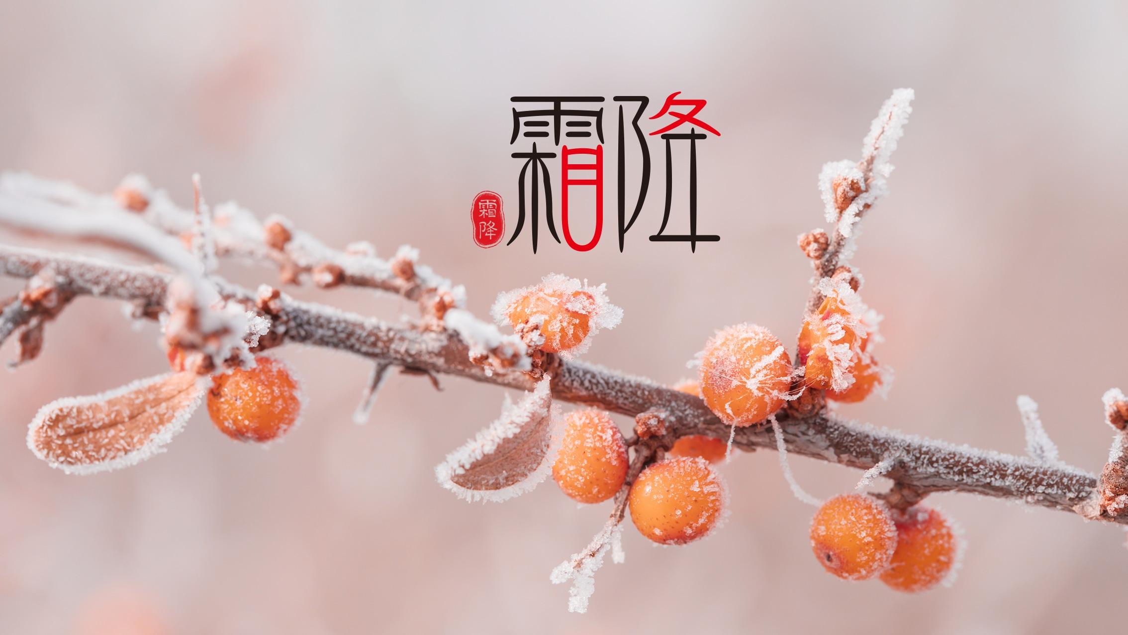 一葉知霜降，一雨感深秋