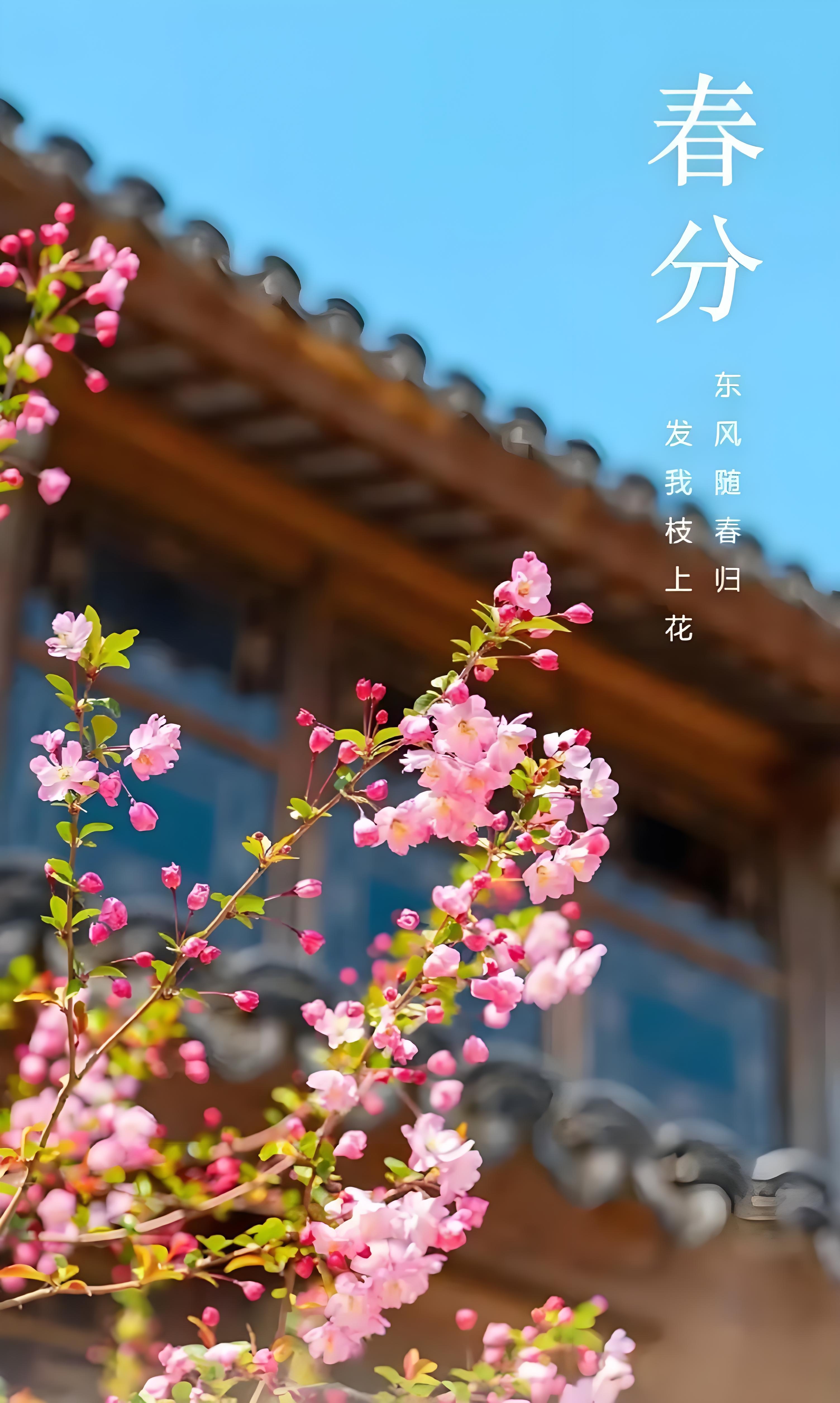 春風(fēng)解人意，時(shí)光不負(fù)你